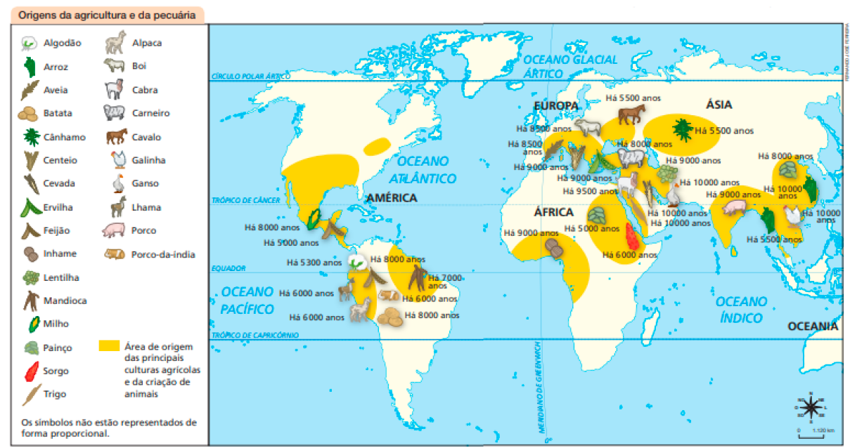 Imagem: Mapa. Origens da agricultura e da pecuária.   - América do Norte: Milho (Há 8000 anos); feijão (Há 5000 anos);   - América do Sul: algodão (Há 5300 anos); lhama (há 6000 anos); alpaca (há 6000 anos); feijão (há 8000 anos); mandioca (há 7000 anos); porco-da-índia (há 6000 anos); batata (há 8000 anos).   - África: inhame (há 9000 anos); painço (há 5000 anos); sorgo (há 6000 anos).   - Europa: boi (há 8500 anos); aveia (há 8500 anos); centeio (há 9000 anos); ervilha (há 9000 anos); cavalo (há 5500 anos).  - Ásia: cânhamo (há 5500 anos); carneiro (há 8000 anos); lentilha (há 9000 anos); cabra (há 9500 anos); trigo (há 10000 anos); cevada (há 10000 anos); ganso (há 10000 anos); porco (há 9000 anos); painço (há 8000 anos); arroz (há 5500 anos); galinha (há 10000 anos); arroz (há 10000 anos).  Área de origem das principais culturas agrícolas e da criação de animais: região sul da América do Norte; região norte da América do Sul; centro da África; sul da Europa e Ásia. Observação: os símbolos não estão representados de forma proporcional. Fim da observação. No canto inferior direito, a rosa dos ventos e a escala de 0 a 1.120 km.  Fim da imagem.