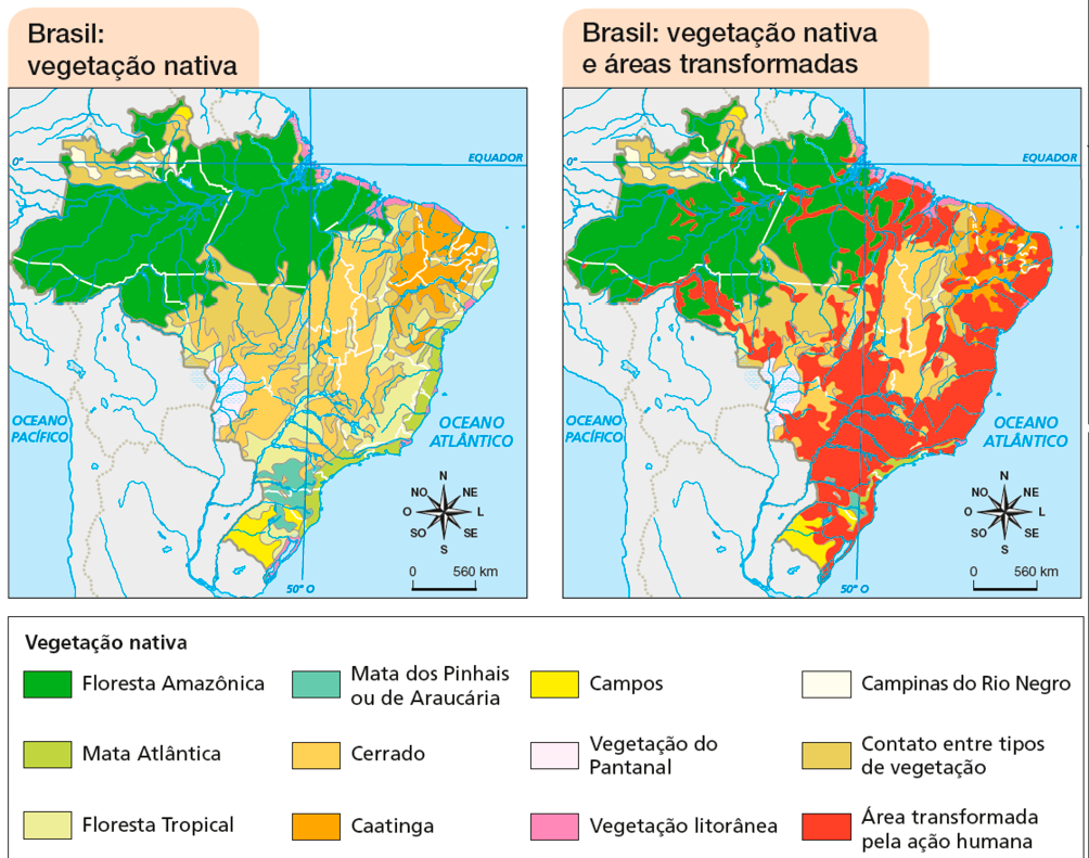 Imagem: Mapa. Brasil: vegetação nativa.  Floresta Amazônica: região Norte.  Mata Atlântica: regiões Nordeste e Sudeste.  Floresta Tropical: regiões Nordeste, Sudeste e Sul.  Mata dos Pinhais ou de Araucária: região Sul.  Cerrado: regiões Centro-Oeste, Nordeste e Sudeste.  Caatinga: região Nordeste.  Campos: região Sul.  Vegetação do Pantanal: região Centro-Oeste.  Vegetação litorânea: regiões Norte e Nordeste.  Campinas do Rio Negro: região Norte.  Contato entre tipos de vegetação: todas as regiões. No canto inferior direito, a rosa dos ventos e a escala de 0 a 560 km.  Mapa. Brasil: vegetação nativa e áreas transformadas.  Floresta Amazônica: região Norte.  Mata Atlântica: regiões Nordeste e Sudeste.  Floresta Tropical: regiões Nordeste, Sudeste e Sul.  Mata dos Pinhais ou de Araucária: região Sul.  Cerrado: regiões Centro-Oeste, Nordeste e Sudeste.  Caatinga: região Nordeste.  Campos: região Sul.  Vegetação do Pantanal: região Centro-Oeste.  Vegetação litorânea: regiões Norte e Nordeste.  Campinas do Rio Negro: região Norte.  Contato entre tipos de vegetação: todas as regiões. Área transformada pela ação humana: todas as regiões com maior concentração nas regiões Nordeste, Sudeste e Sul e menor concentração nas regiões Norte e Centro-Oeste. No canto inferior direito, a rosa dos ventos e a escala de 0 a 560 km.   Fim da imagem.