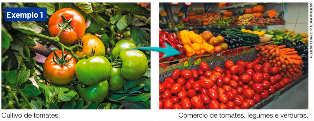 Imagem: Fotografia. Exemplo 1: foto de tomates vermelhos e verdes em um galho. Em volta há muitas folhas verdes. LEGENDA: "Cultivo de tomates." FIM DA LEGENDA. Em seguida há uma seta apontando para a foto de vários tomates, legumes e verduras expostos em uma prateleira. LEGENDA: "Comércio de tomates, legumes e verduras." FIM DA LEGENDA. Fim da imagem.