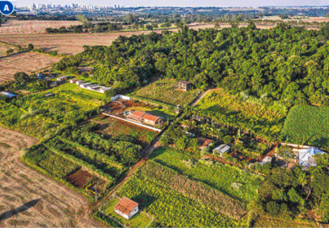 Imagem: Fotografia A. Vista aérea de uma casa e em volta há plantações, árvores e plantas.  Fim da imagem.