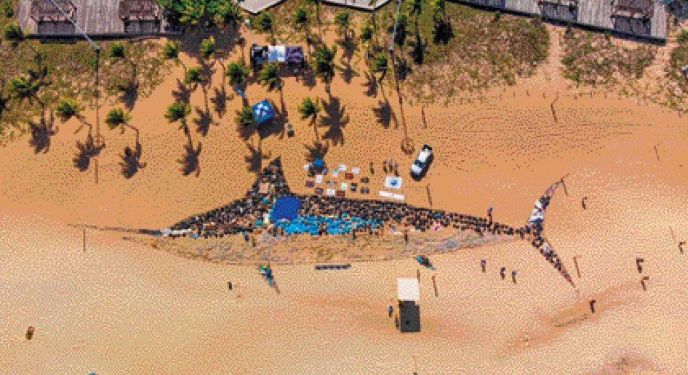 Imagem: Fotografia. Vista de cima da areia da praia. No centro há um contorno de peixe-espada e dentro há vários sacos de lixo cheios, pretos e azuis. Ao fundo, árvores. Fim da imagem.