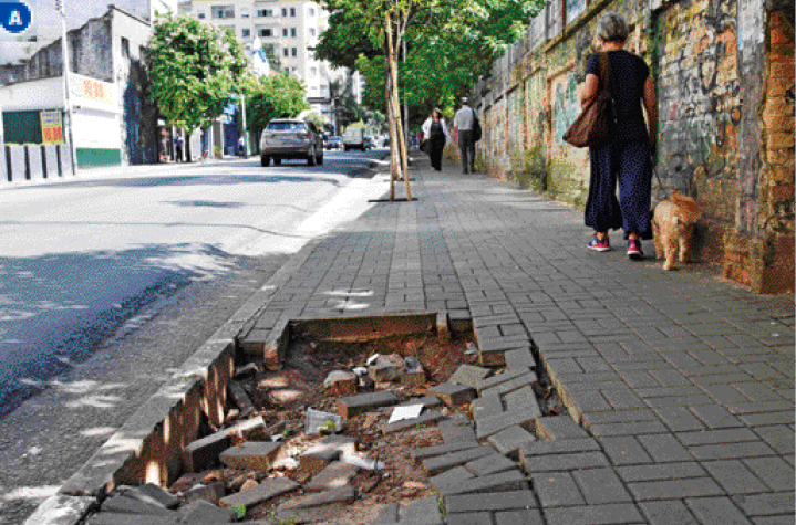 Imagem: Fotografia A. Uma calçada com um buraco no meio. Ao lado, uma mulher caminha com um cachorro. Ao fundo, carros e árvores.   Fim da imagem.