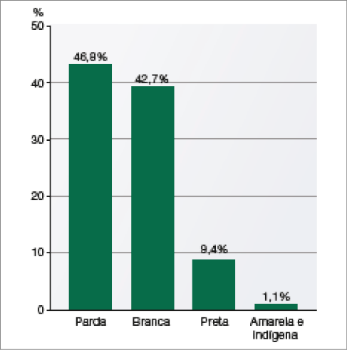 Imagem: Gráfico B de colunas. Brasil: distribuição da população, segundo cor ou raça (2019).  No eixo vertical, a porcentagem e no eixo horizontal, a cor ou raça.  Parda: 46,8%;  Branca: 42,7%;  Preta: 9,4%;  Amarela e indígena: 1,1%.   Fim da imagem.