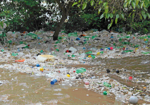 Imagem: Fotografia. Muitas garrafas flutuando sobre um rio com água marrom. Ao fundo, plantas.  Fim da imagem.