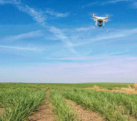 Imagem: Fotografia. Um drone sobrevoando uma plantação. Fim da imagem.