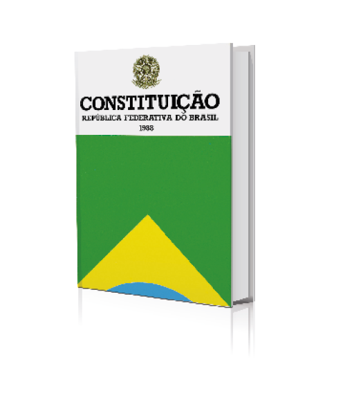 Imagem: Fotografia. Capa de livro com um brasão e a informação: CONSTITUIÇÃO. Na parte inferior, parte da bandeira do Brasil. Fim da imagem.