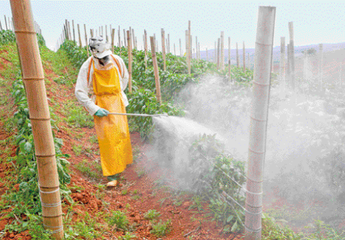 Imagem: Fotografia. Uma pessoa com máscara, avental, luvas e botas está segurando um borrifador e aplicando agrotóxico sobre uma plantação.  Fim da imagem.