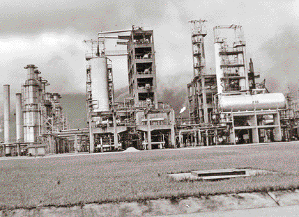 Imagem: Linha do tempo com imagens e textos.  1950;  1955 - A instalação de uma refinaria de petróleo atraiu muitas indústrias para Cubatão.  Fotografia em preto e branco. Uma usina com torres altas.  LEGENDA: Refinaria Presidente Bernardes, no município de Cubatão, no estado de São Paulo. Foto de 1957. FIM DA LEGENDA.  1960;  1970;  1975 - O grande número de indústrias que formavam o polo industrial de Cubatão causava intensa poluição do ar, o que prejudicava a vegetação, os animais silvestres e a saúde dos moradores locais, que desenvolviam problemas respiratórios.   Fim da imagem.