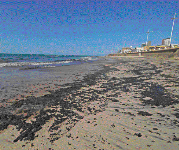 Imagem: Fotografia. Manchas pretas na areia marrom. Ao lado, o mar e ao fundo, construções. Fim da imagem.