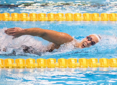Imagem: Fotografia. Uma mulher dentro da piscina nadando com o braço direito e rosto para fora.  Fim da imagem.