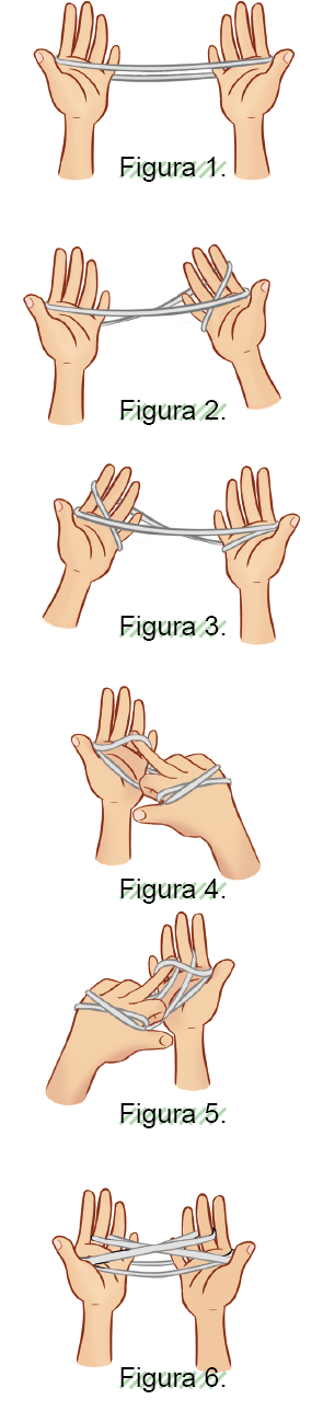 Imagem: Esquema. Figura 1. Destaque de um par de mãos com um elástico em volta dos quatro dedos. Figura 2. Destaque de um par de mãos com um elástico em volta dos quatro dedos e uma volta a mais na mão direita. Figura 3. Destaque de um par de mãos com um elástico em volta dos quatro dedos e uma volta a mais na mão esquerda. Figura 4. O dedo do meio da mão direita passa o elástico da mão esquerda. Figura 5. O dedo do meio da mão esquerda passa o elástico da mão direita. Figura 6. Destaque de um par de mãos com um elástico em volta dos dedos formando uma teia.  Fim da imagem.