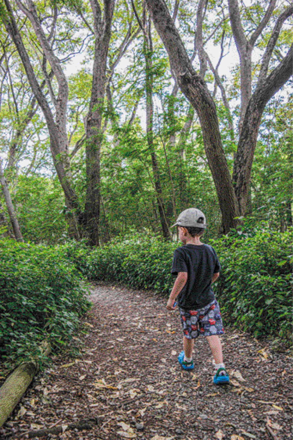 Imagem: Fotografia. Um menino de cabelo castanho cacheado usando um boné cinza, camiseta preta, bermuda estampada e um sapato azul com meia. Ele anda em um caminho de terra e folhas secas no meio de árvores e arbustos. Fim da imagem.