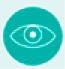 Imagem: Ícone referente à seção Primeiros contatos, composto pela ilustração de um olho dentro de um círculo verde. Fim da imagem.
