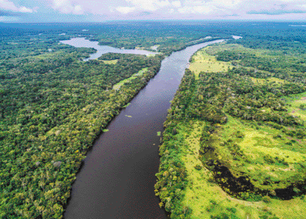 Imagem: Fotografia. Um grande rio cortando uma área coberta por floresta. Há uma ramificação do rio, formando um rio menor para a esquerda.   Fim da imagem.