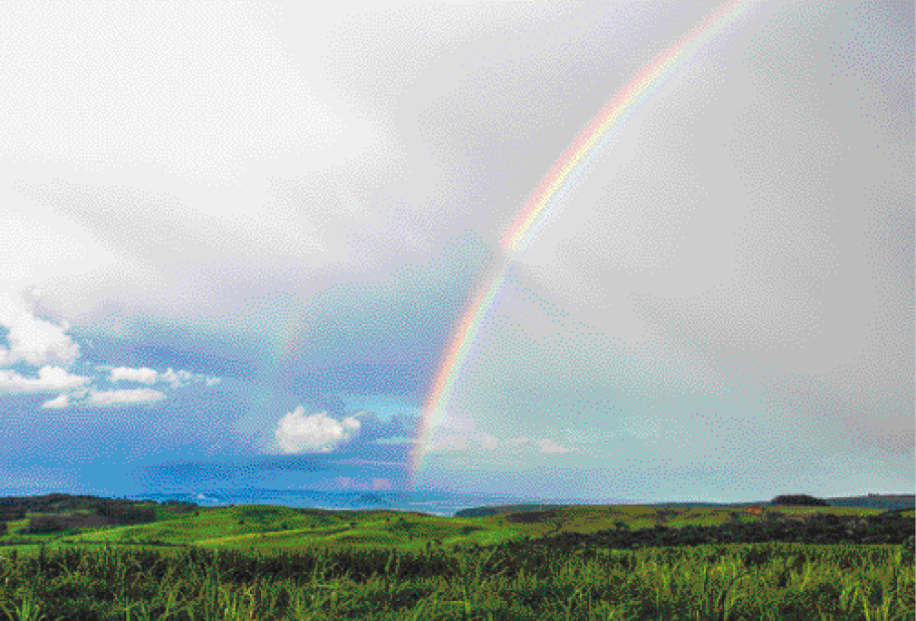 Imagem: Fotografia. Uma paisagem com um campo gramado com alguns arbustos e um arco-íris no céu acima.  Fim da imagem.