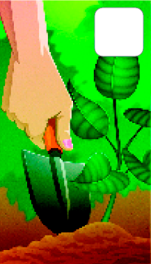 Imagem: Ilustração. Detalhe para uma pessoa segurando uma pá na terra ao lado de uma muda de planta.  Fim da imagem.