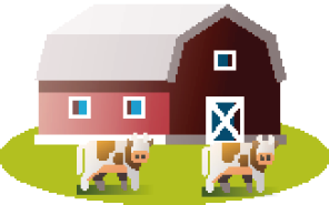 Imagem: Ilustração. Um celeiro vermelho com portas e janelas brancas. Na frente há duas vacas malhadas.  Fim da imagem.