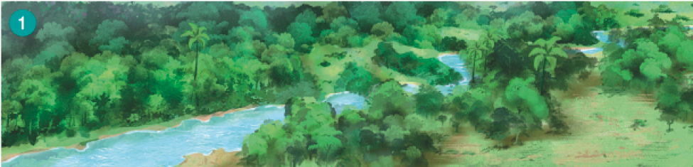 Imagem: Ilustração. 1: um rio margeado por vegetação.  Fim da imagem.