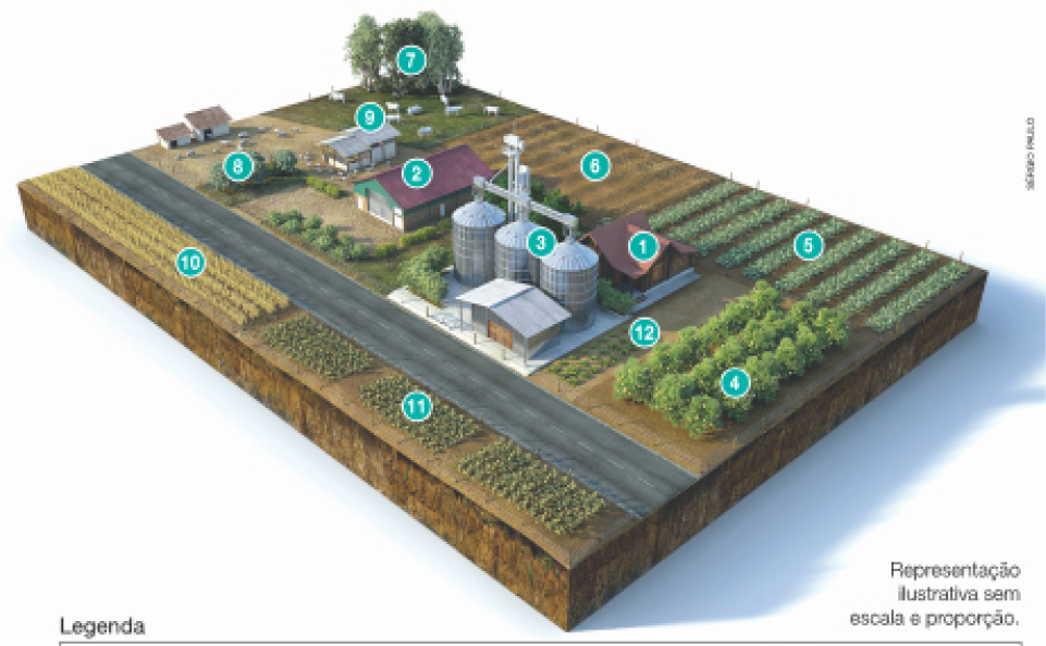 Imagem: Ilustração. Planta de uma propriedade rural. Na horizontal passa uma rua, para baixo dela há duas plantações: cultivo de trigo na esquerda e cultivo de beterraba na direita. Para cima da rua tem no centro o celeiro, ao lado de três silos e a residência. Para a direita uma horta e o pomar; para a esquerda uma estrutura com criação de galinhas e criação de porcos. No fundo, criação de bois, solo em descanso e cultivo de soja.  Fim da imagem.