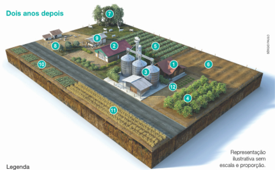 Imagem: Ilustração. Planta de uma propriedade rural. Na horizontal passa uma rua, para baixo dela há duas plantações: cultivo de repolho na esquerda e cultivo de trigo na direita. Para cima da rua tem no centro o celeiro, ao lado de três silos e a residência. Para a direita uma horta e o pomar; para a esquerda uma estrutura com criação de galinhas e criação de porcos. No fundo, criação de bois, cultivo de soja e solo em descanso.  Fim da imagem.