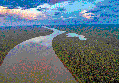 Imagem: Fotografia. Paisagem com um rio largo no meio de uma floresta. Fim da imagem.