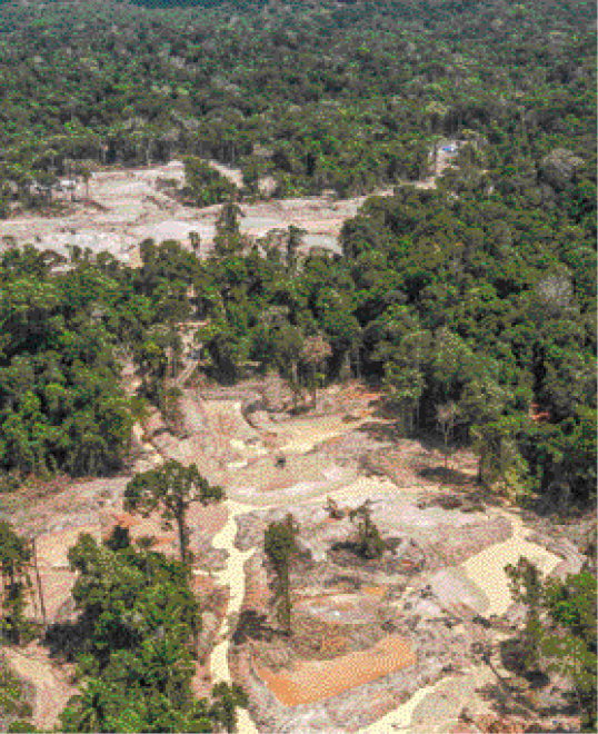 Imagem: Fotografia. Uma área parcialmente coberta por árvores e a restante coberta por barro.  Fim da imagem.