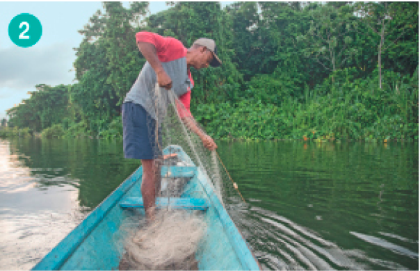 Imagem: Fotografia. Um homem de bermuda azul, camiseta cinza e vermelha e boné. Ele está de pé em uma canoa em um rio, pescando com uma rede.  Fim da imagem.