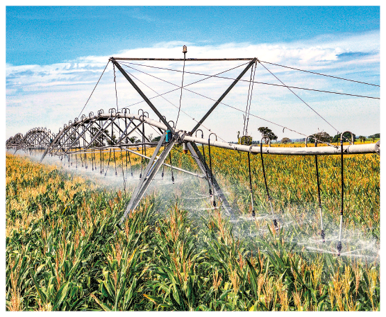 Imagem: Fotografia. Irrigação feita com canos em uma plantação.  Fim da imagem.