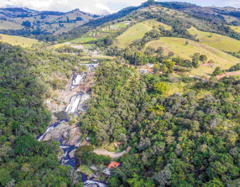 Imagem: Fotografia. Uma cachoeira no meio de uma floresta. No fundo tem uma cadeira de montanhas cobertas por vegetação. Ao lado, fotografia de uma jaguatirica de pé.  Fim da imagem.