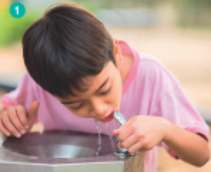 Imagem: Fotografia. Um menino de cabelo preto liso e camiseta rosa. Ele está abaixado bebendo água de um bebedouro prateado. Fim da imagem.