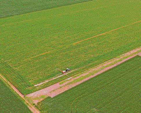 Imagem: Fotografia. Vista aérea de uma plantação com um trator no meio. Fim da imagem.