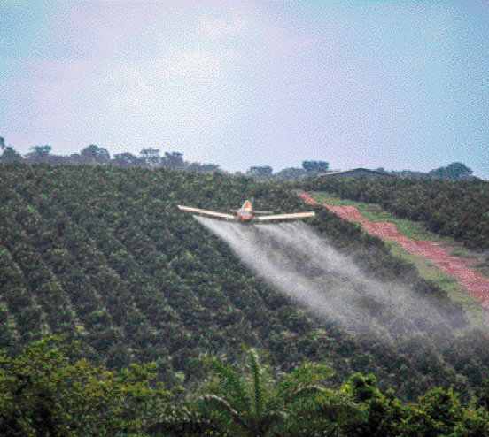 Imagem: Fotografia. Um avião voando baixo e despejando água em uma plantação.  Fim da imagem.