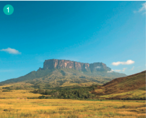 Imagem: Fotografia. Paisagem de um campo gramado com um morro ao fundo, coberto parcialmente por vegetação. Fim da imagem.