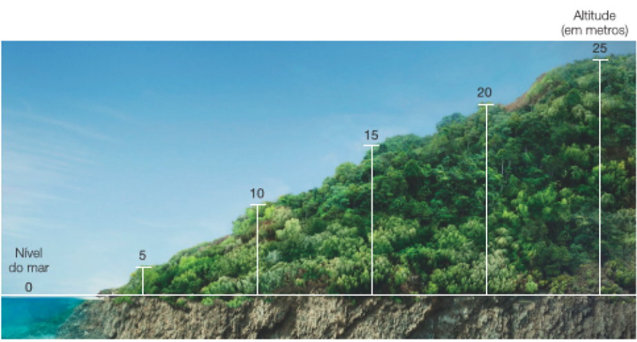 Imagem: Fotografia. Paisagem com um morro coberto por árvores ao lado do mar. Um gráfico mostra as diferentes altitudes. Da esquerda para a direita: 0, nível do mar. 5 metros. 10 metros. 15 metros. 20 metros. 25 metros. Fim da imagem.