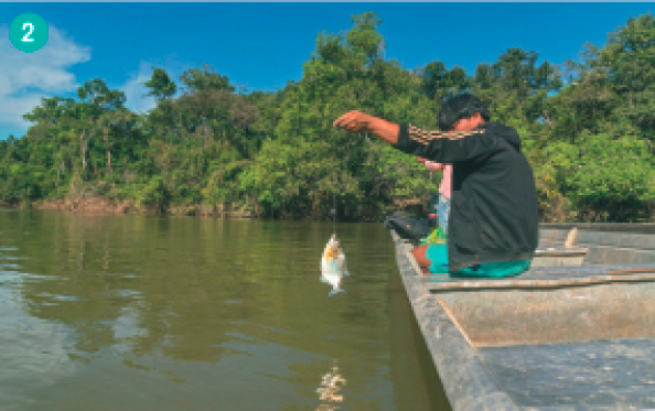 Imagem: Fotografia. Um homem indígena usando bermuda verde e moletom preto. Ele está em cima de uma plataforma em um rio e segura uma corda com um peixe preso na ponta. No fundo, árvores.  Fim da imagem.