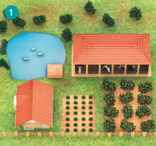 Imagem: Ilustração. 1: vista inclinada de uma casa com um lago com animais atrás. Do lado, duas áreas de plantação e uma estrutura com vacas dentro. No fundo, algumas árvores. 2: imagem da casa com plantações em planta.  Fim da imagem.