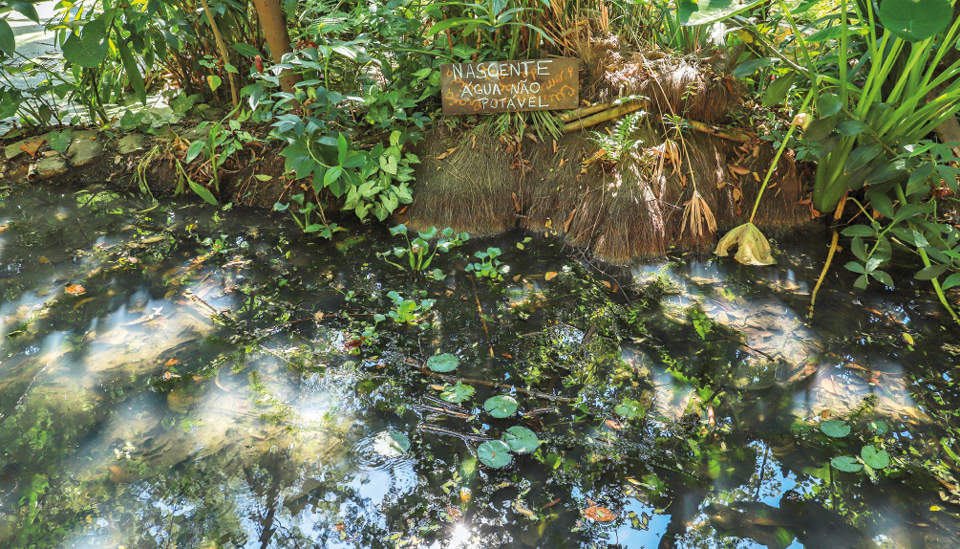 Imagem: Fotografia. Um rio com algumas plantas boiando. Do lado, uma placa de madeira com o texto: nascente. Água não potável.  Fim da imagem.