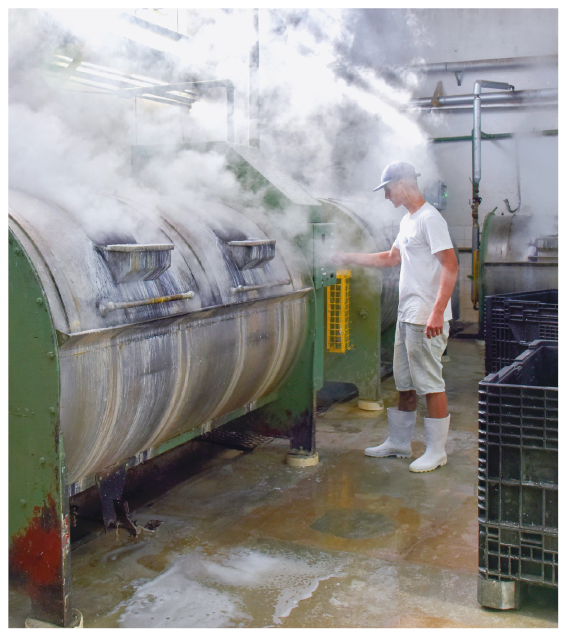 Imagem: Fotografia. Um homem de bermuda cinza, botas de borracha e camiseta branca. Ele está na frente de uma máquina cilíndrica da onde sai vapor de água. Fim da imagem.