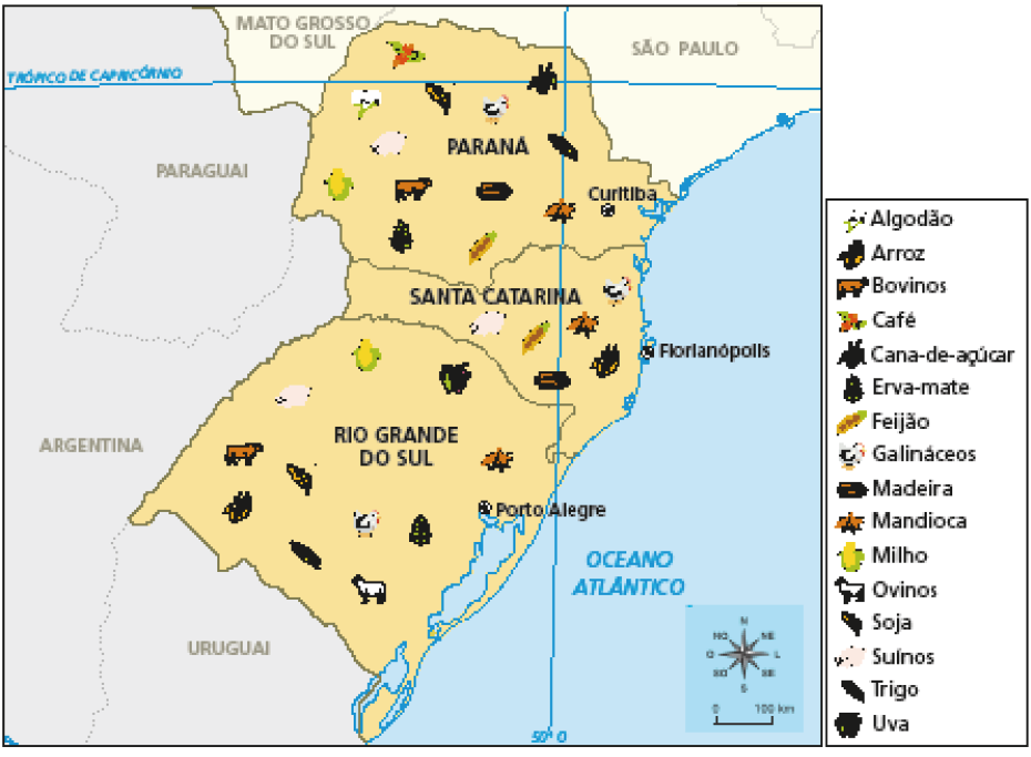 Imagem: Mapa. Região Sul: econômico (2019). Mapa da região sul dividido em estados. Dentro de cada um, ilustrações representando as atividades econômicas. Paraná, capital Curitiba: algodão, café, milho, soja, suínos, erva-mate, galináceos, madeira, feijão, arroz, trigo e mandioca. Santa Catari-na, capital Florianópolis: galináceos, suínos, feijão, mandioca, madeira e arroz. Rio Grande do Sul, capital Porto Alegre: bovinos, suínos, arroz, milho, uva, soja, trigo, galináceos, ovinos, erva-mate e mandioca.  Fim da imagem.