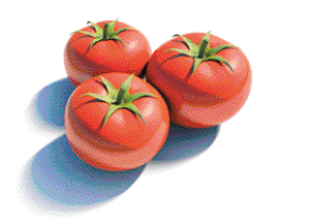 Imagem: Fotografia. Três tomates.   Fim da imagem.