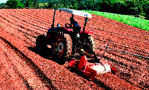 Imagem: Um trator em um campo de terra, com um homem dirigindo.   Fim da imagem.