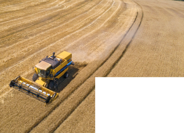 Imagem: Fotografia. Um trator amarelo em uma plantação.  Fim da imagem.