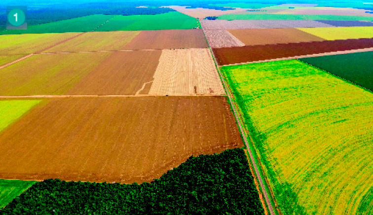 Imagem: Fotografia. Um grande campo com plantações em áreas retangulares.  Fim da imagem.