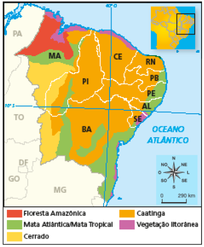 Imagem: Mapa. Região Nordeste: vegetação. Mapa da Região Nordeste separado por cores, cada uma representando uma vegetação. Floresta amazônica: parte do Maranhão. Mata Atlântica/Mata Tropical: parte do Maranhão, Piauí, Bahia e litoral da Paraíba, Pernambuco e Alagoas. Cerrado: parte do Maranhão, Piauí e Bahia. Caatinga: maior parte da região. Vegetação litorânea: litoral do Maranhão, Ceará e Sergipe.  Fim da imagem.