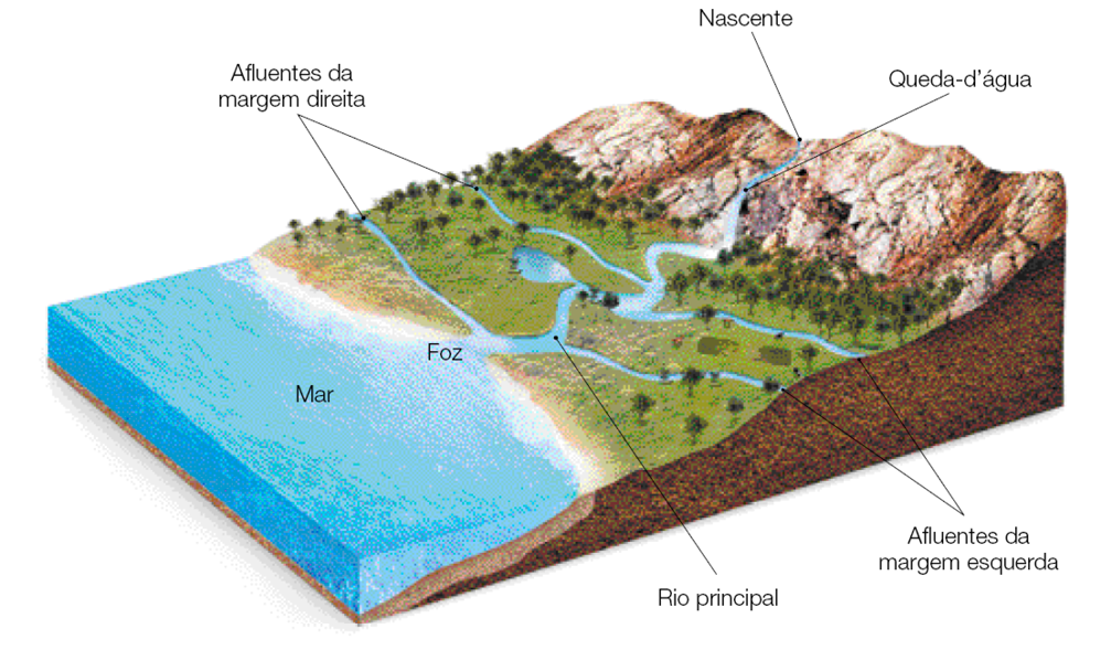 Imagem: Ilustração. Imagem em 3 dimensões do mar na esquerda e montanhas na direita. Em cima das montanhas há uma nascente. A água segue em queda d’água pela montanha. Na parte plana, vários rios se juntam: afluentes da margem esquerda, afluentes da margem direita e rio princi-pal. Quando chega no mar é a foz.  Fim da imagem.