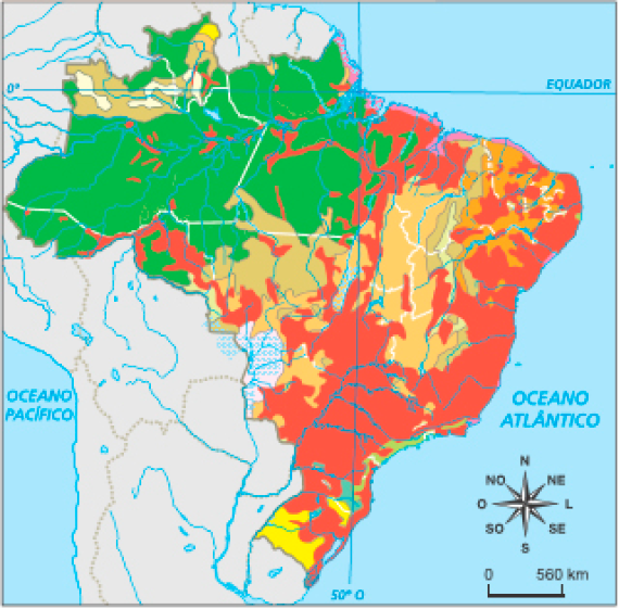 Imagem: Mapa. Brasil: vegetação nativa e áreas transformadas. Mapa do Brasil separado por cores, cada uma representando uma vegetação. Floresta Amazônica: maior parte da Região Norte e parte oeste da região Nordeste. Mata atlântica: pequena faixa no litoral das regiões Sul e Sudeste. Mata dos Pinhais ou de Araucária: pequena região entre o Paraná e Santa Catarina. Cerrado: áreas espalhadas na região Centro-Oeste. Caatinga: áreas espalhadas pela região Nordeste. Ve-getação litorânea: áreas pequenas no litoral das regiões Norte, Nordeste e Sudeste. Campinas do Rio Negro: pequenas áreas no Norte. Contato entre tipos de vegetação: áreas espalhadas por todo o Brasil. Área transformada pela ação humana: áreas em todas as regiões, em maior con-centração nas regiões Sul, Sudeste e litoral do Nordeste.  Fim da imagem.