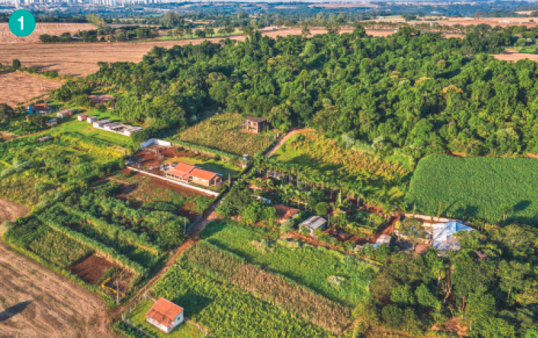 Imagem: Fotografia. Imagem aérea de uma área com vegetação. Na frente, casas e áreas retangulares com plantações. Ao fundo, área com árvores.  Fim da imagem.