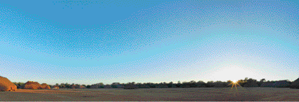 Imagem: Fotografia. Uma paisagem de um campo aberto com o sol no horizonte, do lado direito.   Fim da imagem.