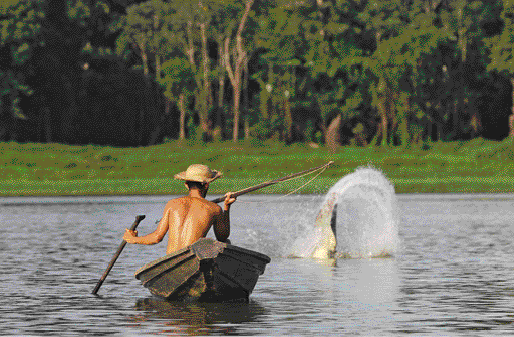 Imagem: Fotografia. Um homem sem camisa e de chapéu de palha. Ele está sentado em uma canoa de madeira em um rio e segura uma vara de pesca. Na água em sua frente há um peixe pulando que espirra água.  Fim da imagem.
