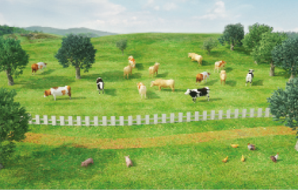 Imagem: Ilustração. Uma área com cerca de madeira e vacas entre árvores.  Fim da imagem.